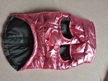 Coat Jacket Vest Bulldog-Clothing Puppy Dogs-Chihuahua French Waterproof Large Winter