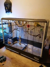 Bird Parrot Toys Ladders Cockatiels Wooden Climbing Cage-Supplies Perches Hanging-Swing-Hammock