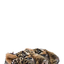 Twigy TW постоянный Panduf мужской PANDUF NN0442