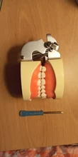 Modelo de enseñanza Dental de Modelo Dental, modelo estándar con mordedores de 32 tornillos, goma dura suave, 28 y 24 dientes