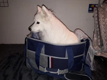 Handbag Tote Pet-Dog-Bag Traveling Portable Pet-Supplies Shoulder-Bag Oxford-Cloth