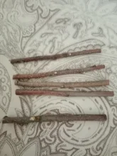 Stone-Chew-Toys Hamster Apple-Tree-Stick Minerals Grinding Chinchilla Rabbit-Teeth Molar