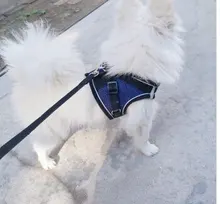 Arnés para perros y mascotas de gran tamaño sin tirones, chaleco ajustable y transpirable, impermeable, para Seguridad al aire libre, caminar y correr,arnes perro mediano,perros accesorios,suministros para perros