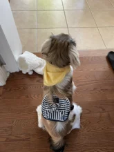 Dog-Backpack-Harness Lead-Carrier Pink Animal Small Cute with Leash-Set Little Pet-Cat