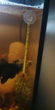 Termómetro sumergible para acuario, accesorio de medición de temperatura del agua con copa de succión de vidrio para tanque de peces