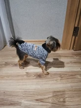 Clothing Sweater Pet-Outfit Small Dogs Classic Soft Winter For Dog Chihuahua Ropa Perro