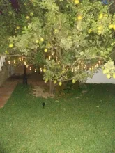 String-Lights Bulb Light-Lawn Solar-Lamp-Decoration Garden Outdoor Waterproof Christmas