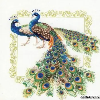 

767 set for embroidery Riolis 'павлины', 48*48 cm