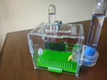 Mini granja de hormigas acrílicas para escalada, nido de hormigas para Taller, rayas horizontales, para caza