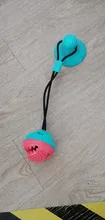 Pet Dog Toys Silicon Suction Cup Tug dog toy Dogs Push Ball Toy Pet Tooth Cleaning Dog
