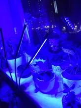 Grow-Light Lamps Timer Flowers Desktop-Clip LED Phyto Full-Spectrum For Plants DC5V USB