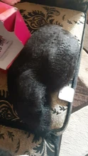 Peluca rizada recta de encaje frontal cabello humano 180% pelo humano brasileño pelucas de parte de encaje 13x1 para mujeres Remy U peluca parte se puede teñir