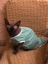 Camiseta de algodón a rayas para gatos domésticos, ropa de verano, camisa para traje para gato, ropa para mascotas, disfraz para cachorro, gatito, 25S2
