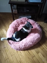 Super Soft Pet Bed Winter Warm Sleeping Bed for dogs Kennel Dog Round Cat Long Plush