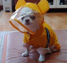 Chubasquero Gato con capucha y reflectante para perros, chaqueta impermeable para perros pequeños, malla transpirable suave