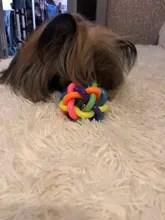 Toy Chew-Toys Pet-Ball Interactive Colorful Rainbow Teeth-Training Round Cat Rubber Dog
