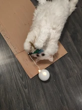 Toy Cat-Toy Ball-Rolling Productos Interactive Electric Colorful Automatic Para Led Ear