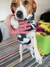 Dog Coat Dog-Jacket Labrador Reflective Large Breed Chihuahua Waterproof Winter Overalls