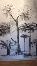 3d Wallpaper Mural Sofa-Background-Walls Rainforest Tropical Sketch Nordic Black White