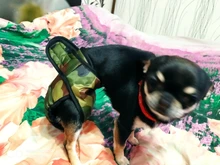 Female Dog Briefs Panties Shorts Underwear Physiological-Pants Dog-Diaper Sanitary Washable