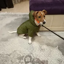 Outfit Jacket Hoodie Dog Warm Waterproof Winter Coat Splice Pet-Puppy 6-Colours 8-Sizes