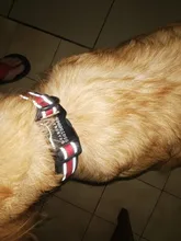 Dog-Personalized-Collar Cloth Reflective Metal Diving Collars Black Buckle Large Medium