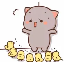 A***e