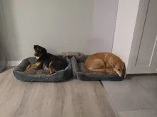 Cushion Beds Sofa-Bed Kennel Pet-House Puppy Sleeping-Bag Dogs Small Kota Cat Winter