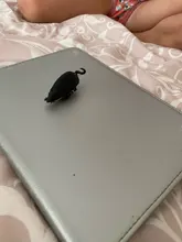 Juguete electrónico para trucos de simulación de insecto, cucarachas, ratones, vibración, AN88