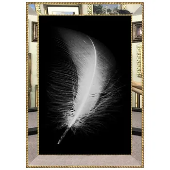 

Mirror Framed Glass Digital Canvas Painting 45 * 60 cm