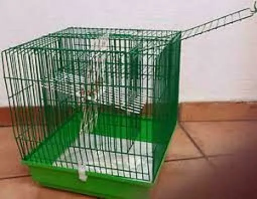 

CAGE TRAP WIRE AUTOMATICA