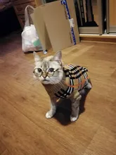 Antumn-ropa de invierno para gatos abrigo de suéter Katten para perros, disfraz de gato para perros pequeños, Chihuahua, Pugs, Bulldog francés