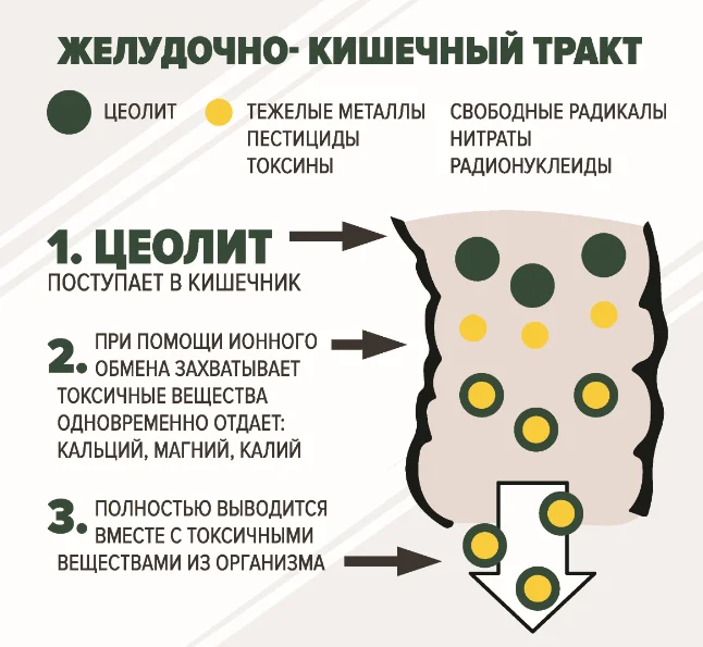 цеолиты природные и синтетические. цеолит сорбент для кишечника. цеолит сорбент. применение цеолитов. цеолит порошок пищевой.
