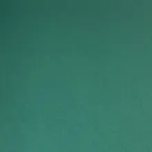 g***e