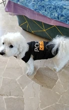 Traje de policía para Cosplay de perros y gatos, chaleco elástico negro, camiseta de cachorro, accesorios, ropa, disfraces