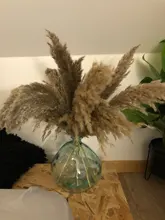 Pampas-Grass Reed Flower Wedding-Decoration Bunch Light-Color Natural Dried Christmas