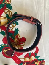 Dog-Collar Leash Engrave-Name Designer Personalized Luxury for Big Large And