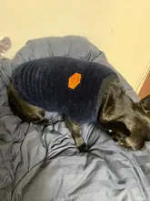 Dog Clothing Jacket Pullover French Bulldog Fleece Shirt Pet-Coat Puppy Camouflage Warm