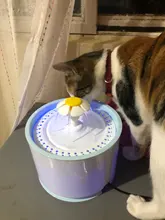 Dispenser-Container Fountain Cat-Bowl Water-Level-Display Electric-Water-Feeder Dogs