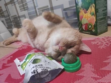 Natural Catnip Toys For Cats Crazy Healthy Cat Toys For Kitten Edible Treating Cleaning