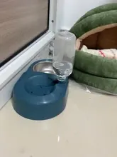 Tazón para perros y gatos, fuente de comida bebida con salida de agua automática, alimentadores antivolteo, tazón de alimentación de plástico, accesorios para mascotas