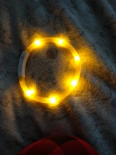 Pet-Supplies Leash Dog-Accessories Led-Collar Flashing Small Dog Night-Safety Rechargeable