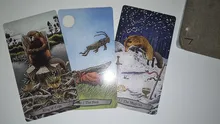 Nuevo tótem de Animal cartas del Tarot divertido juego de tablero de Tarot tarjeta de juegos en precio de fábrica en