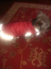 Ropa de invierno cálida para perros, chaleco reflectante para cachorros, chaqueta polar cómoda para mascotas, abrigo para perros pequeños, medianos y grandes, 2020