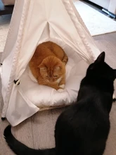 Cat Bed House Teepee Cushion Pet-Tent Puppy Available Outdoor Portable For Dog with Thick