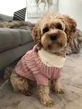 Sweater Puppy-Hoodie Dog-Jumper Winter Knited Small Cat with Cartoon-Design Warm Apparel