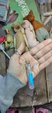 100 Uds Nsect Pins espécimen aguja de acero inoxidable con caja de plástico para laboratorio escolar Entomología cuerpo disección aguja de insecto