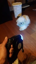 Leash Flashlight Extendable Lead Pet-Dog with Garbage-Bag