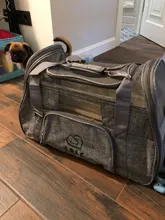 Pet-Bag Chihuahua Portable Pets-Handbag Dog Mesh Cat