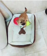 Cama para perro supersuave, perrera grande de algodón, alfombrilla para cachorros, manta impermeable para gato, nido de gato Kawaii de talla grande, accesorios para mascotas